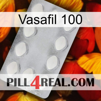 Vasafil 100 16